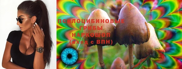 MESCALINE Аркадак