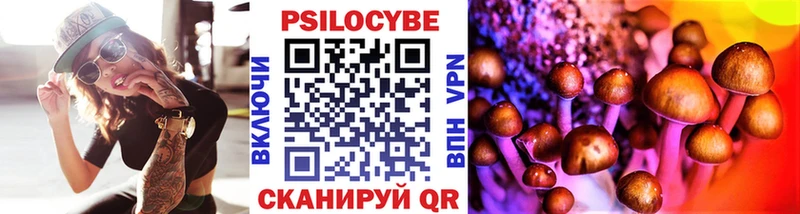 MEGA tor  купить наркоту  Зеленокумск  Псилоцибиновые грибы прущие грибы 